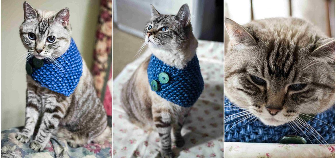 Crochet for cat